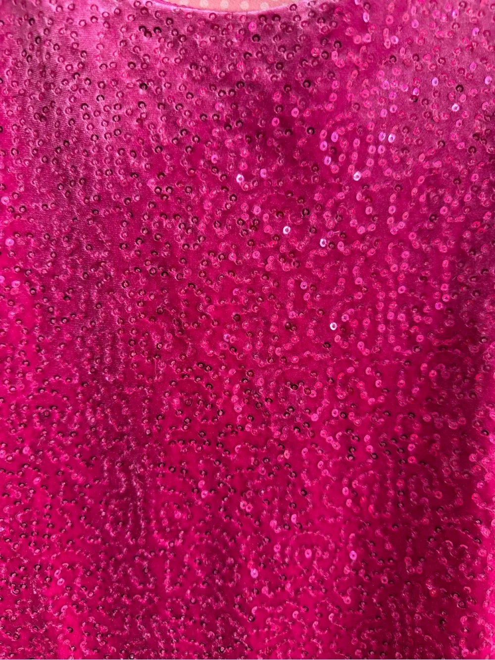 The Children's Place Sequin Velvet Dress Size 5/6